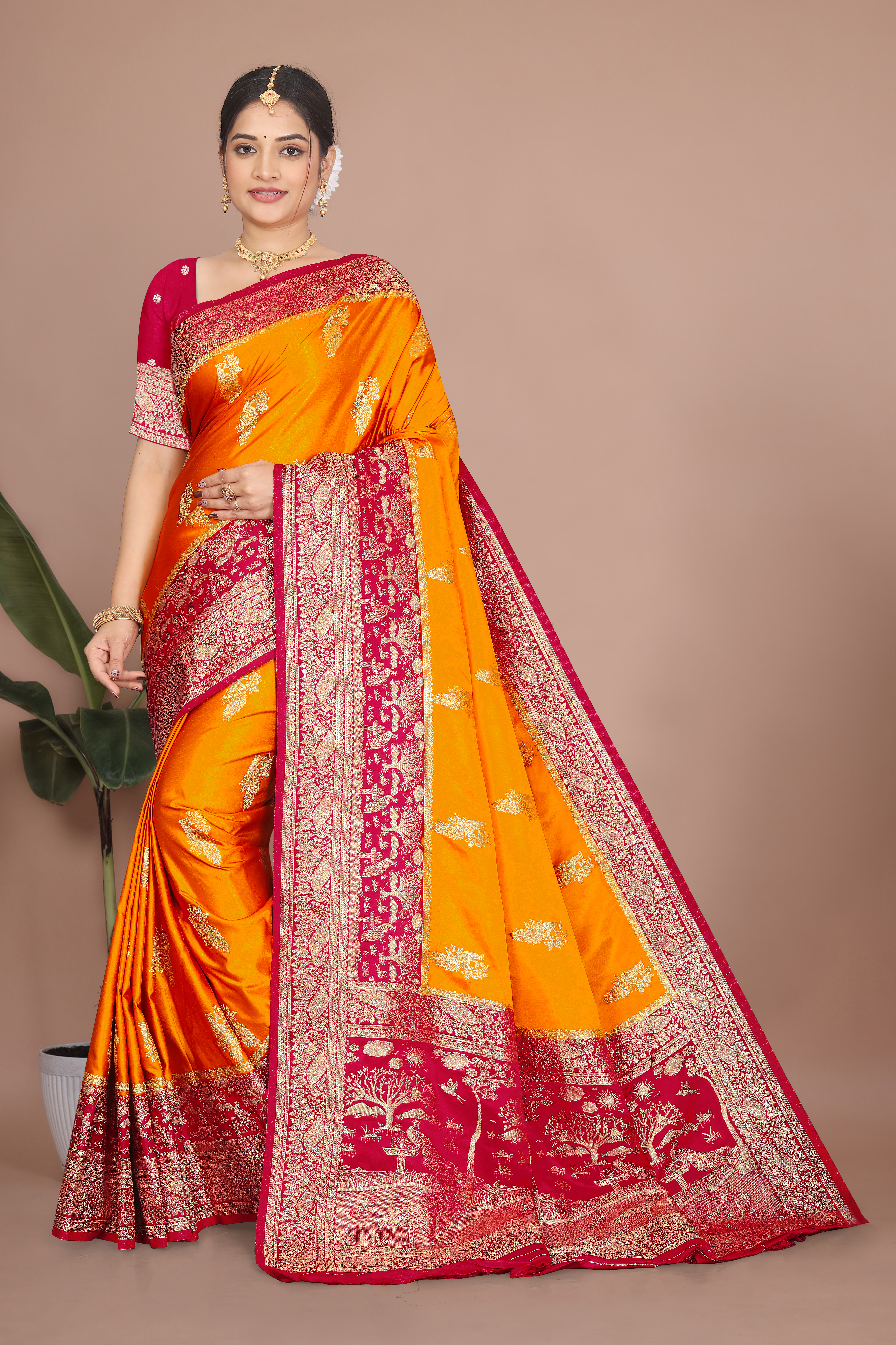 Bandhani Tie-Dye Saree